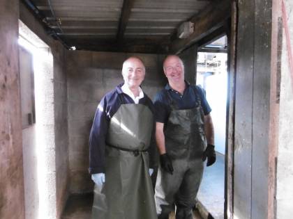 Steven has offered a knight of the realm a job relief milking!