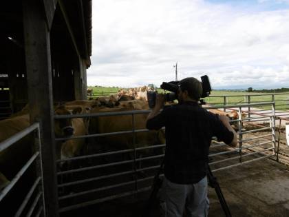 They all pause for the camera..