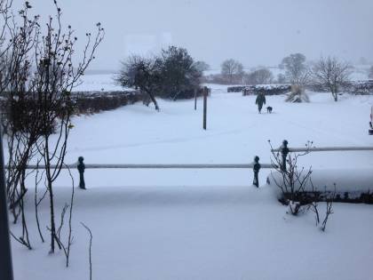 Getting here is tricky with the snow and very slippery