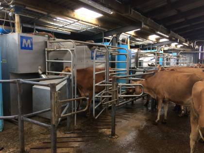 Keeping the girls happy