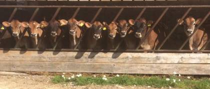 All the girls are tucked up inside 