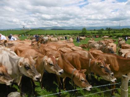 The girls loving the attention