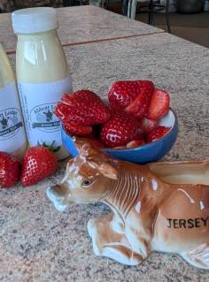 Fresh Jersey Cream